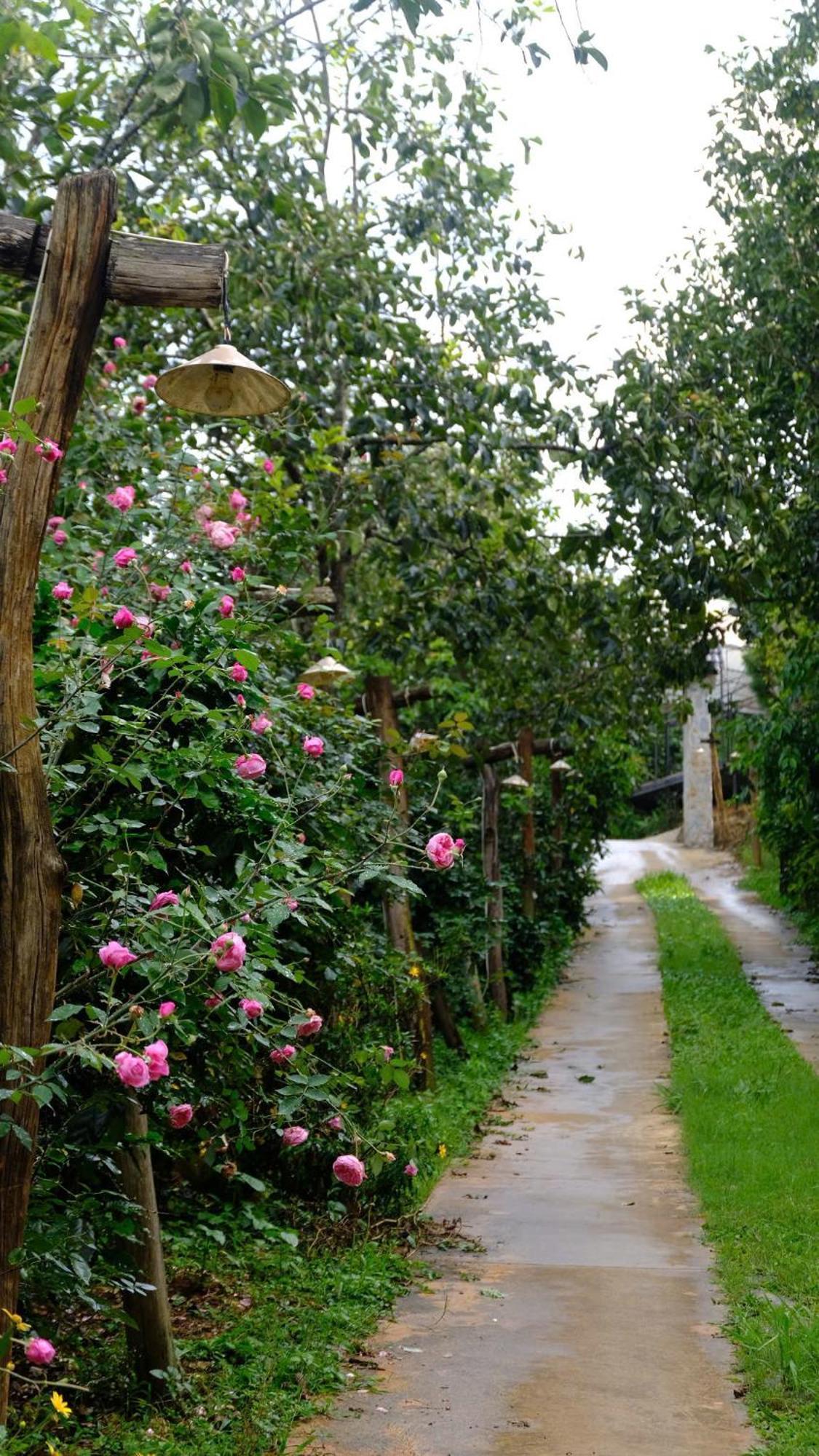 فيلا Moc Tra Farm Xuan Truong المظهر الخارجي الصورة